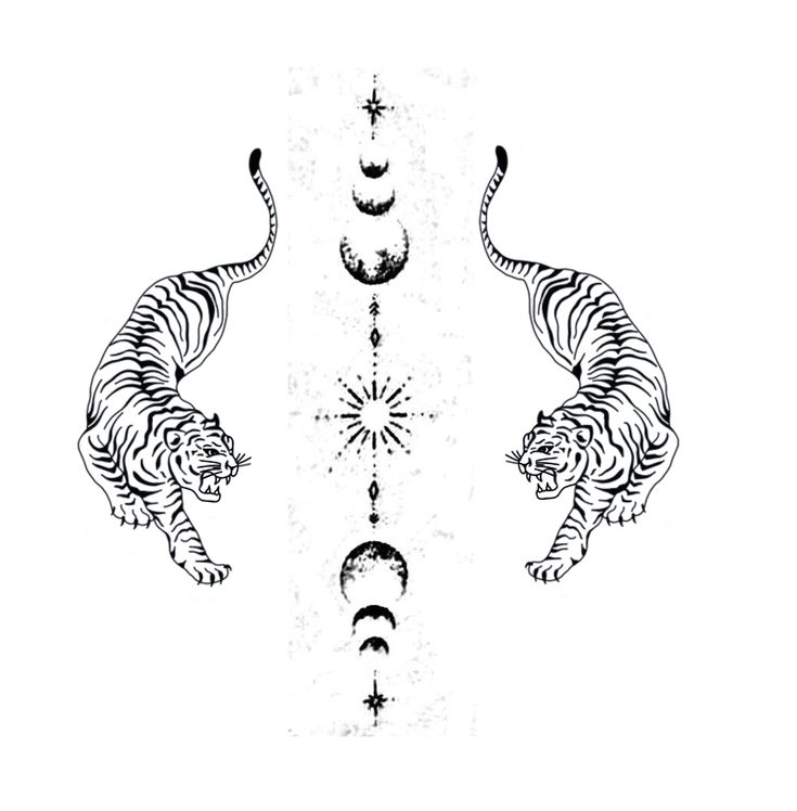 two tigers are standing next to each other in the shape of stars and crescents