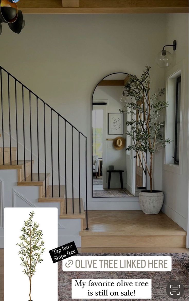 a living room filled with furniture and a tree in the middle of it's floor