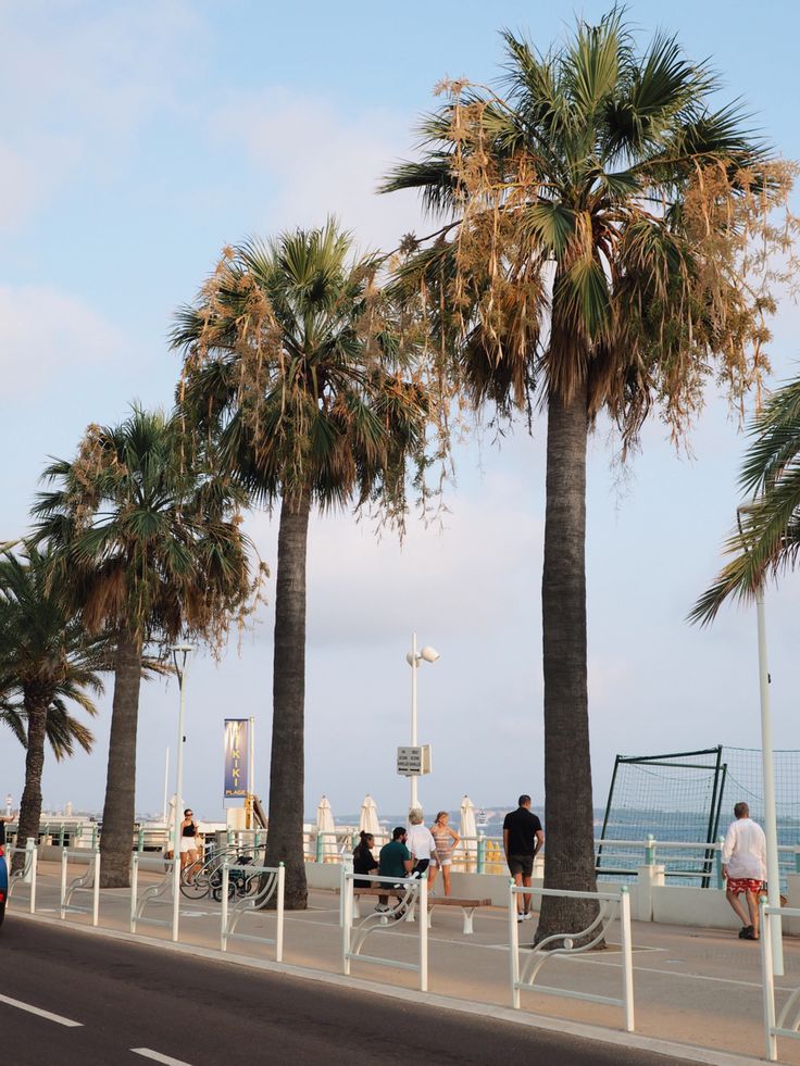 Street in Cannes next to the beach with palms. Cannes Aesthetic, Palms Aesthetic, Cannes Beach, Back Fat Workout, Aesthetic Beach, Dream Lifestyle, Travel Beach, Cote D’azur, Fat To Fit