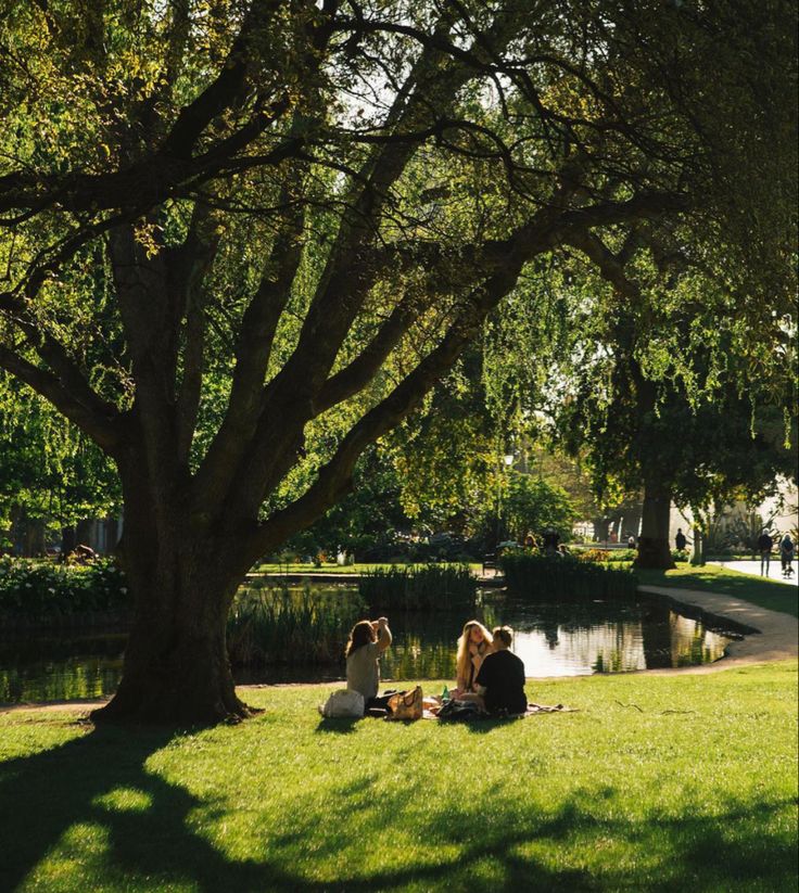 two women sitting on the grass under a large tree next to a pond in a park