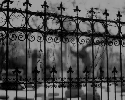 black and white photograph of an iron fence with crosses on it's sides, in front of a cemetery