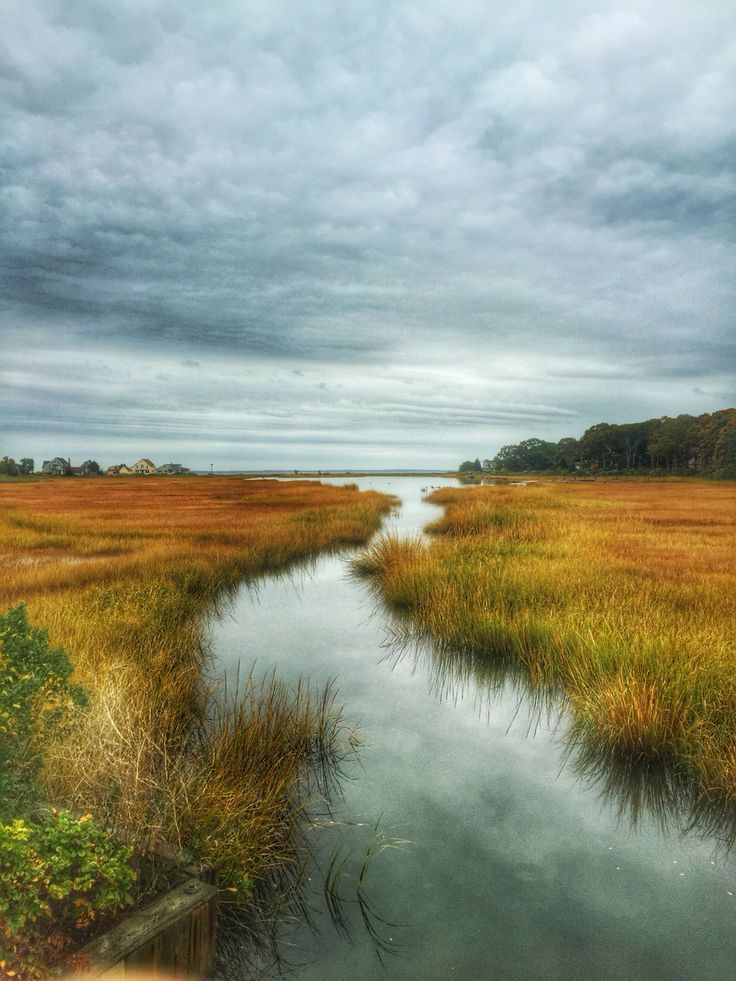 a river running through a lush green field next to tall grass and trees on a cloudy day