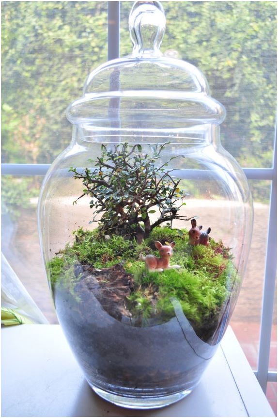 a glass jar filled with plants on top of a window sill