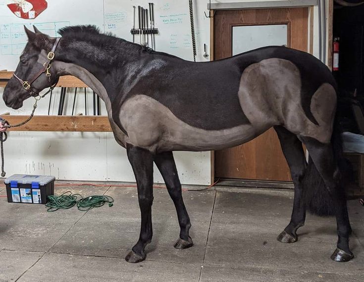 a woman is standing next to a horse