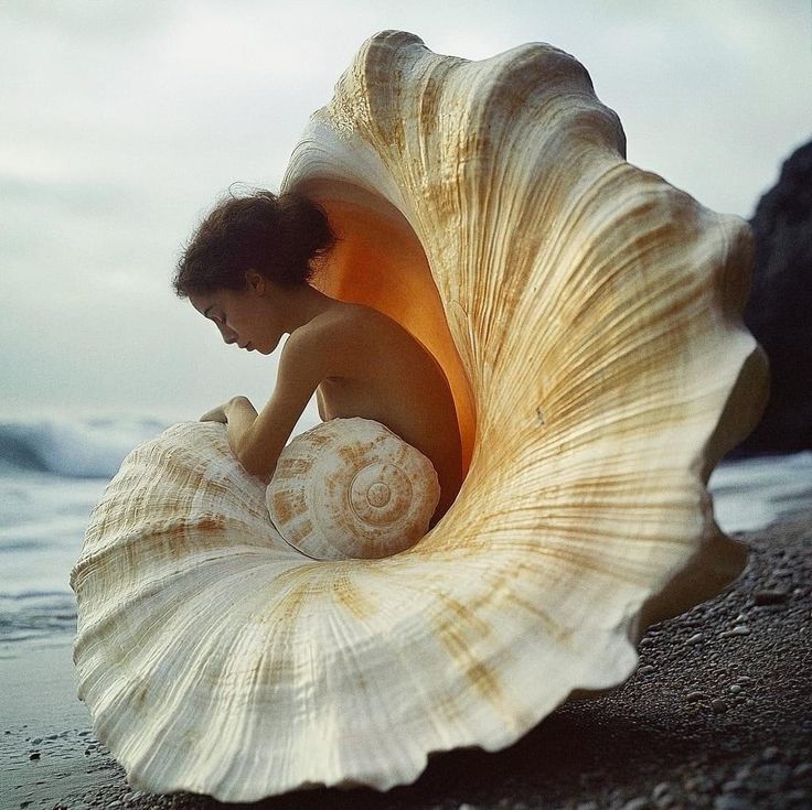 a woman is sitting in a shell on the beach