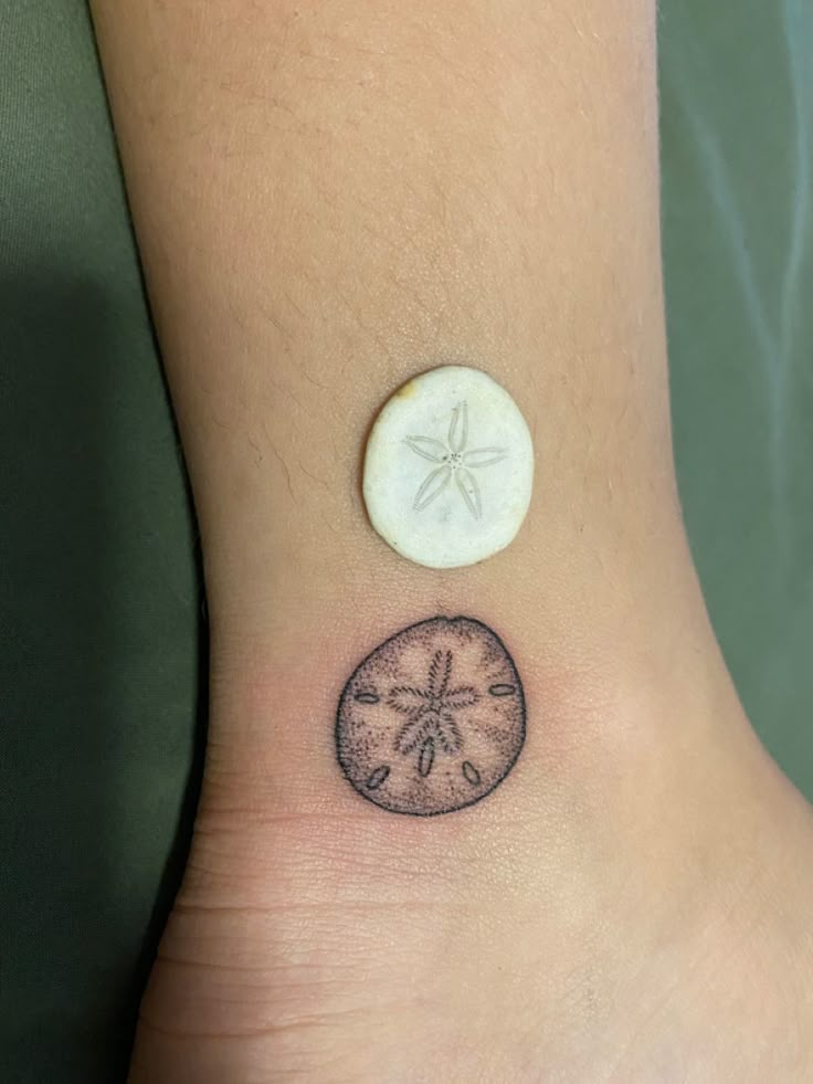 a small sand dollar tattoo on the ankle that has a starfish and sand dollar in it