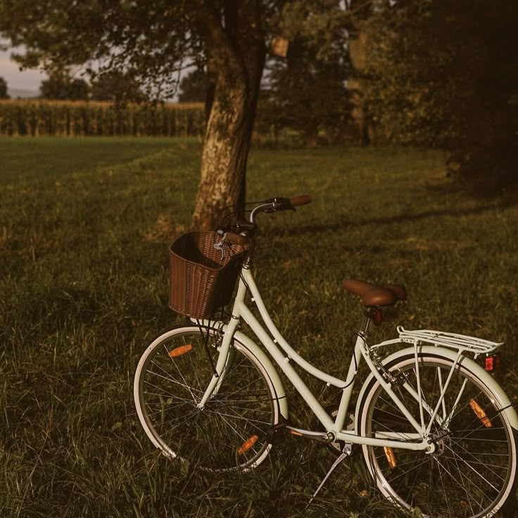 a white bicycle parked next to a tree in the grass with a basket on it