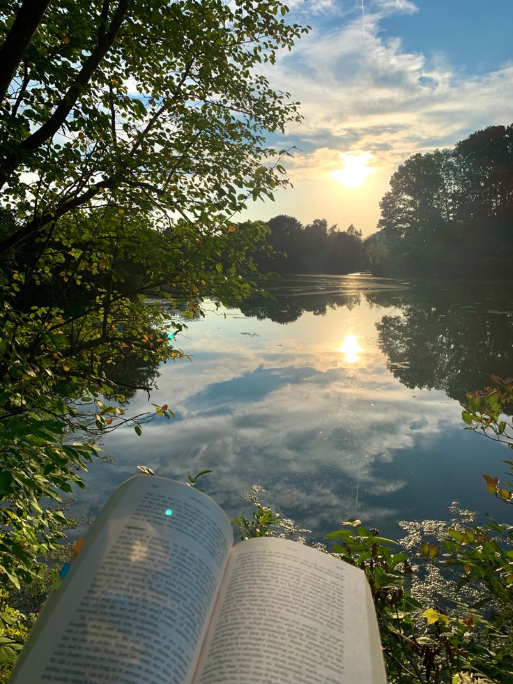 Cottage core 
Academia 
Fairy core 
Lakeside 
Reading 
Aesthetic 
Nature
Sunset Delaney Core Aesthetic, Abigail Aesthetic Core, May Core Aesthetic, Eve Core Aesthetic, Ashley Aesthetic Core, Aleigha Core, Emily Aesthetic Core, Evie Core Aesthetic, Solid Core Aesthetic