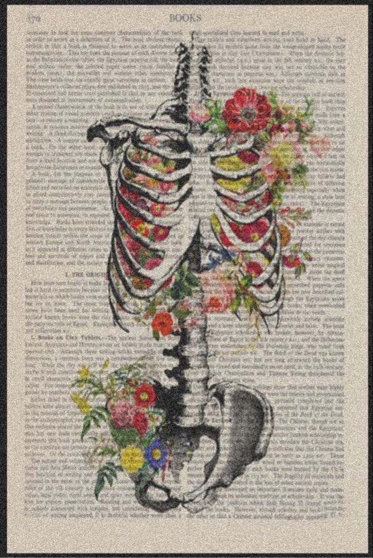 a skeleton with flowers on it's chest is shown in an old book page