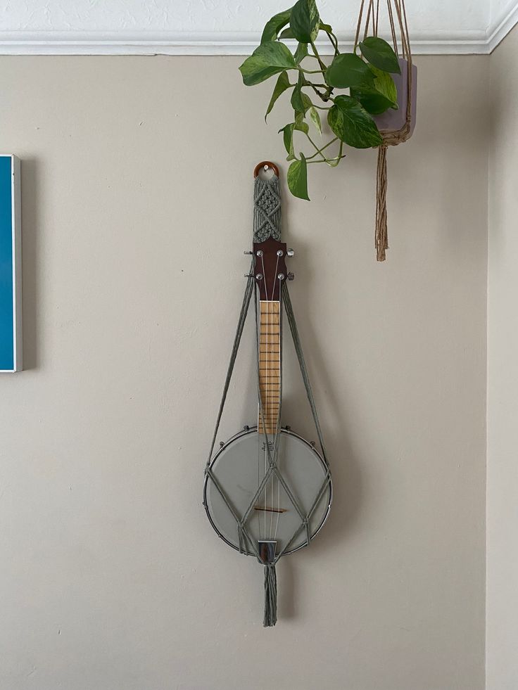 there is a plant hanging on the wall next to a mirror and guitar hanger