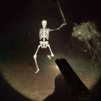 a skeleton is shown in the dark with its arms outstretched