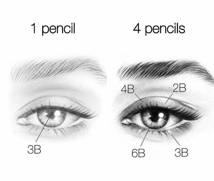 the different types of eyes are shown in this diagram