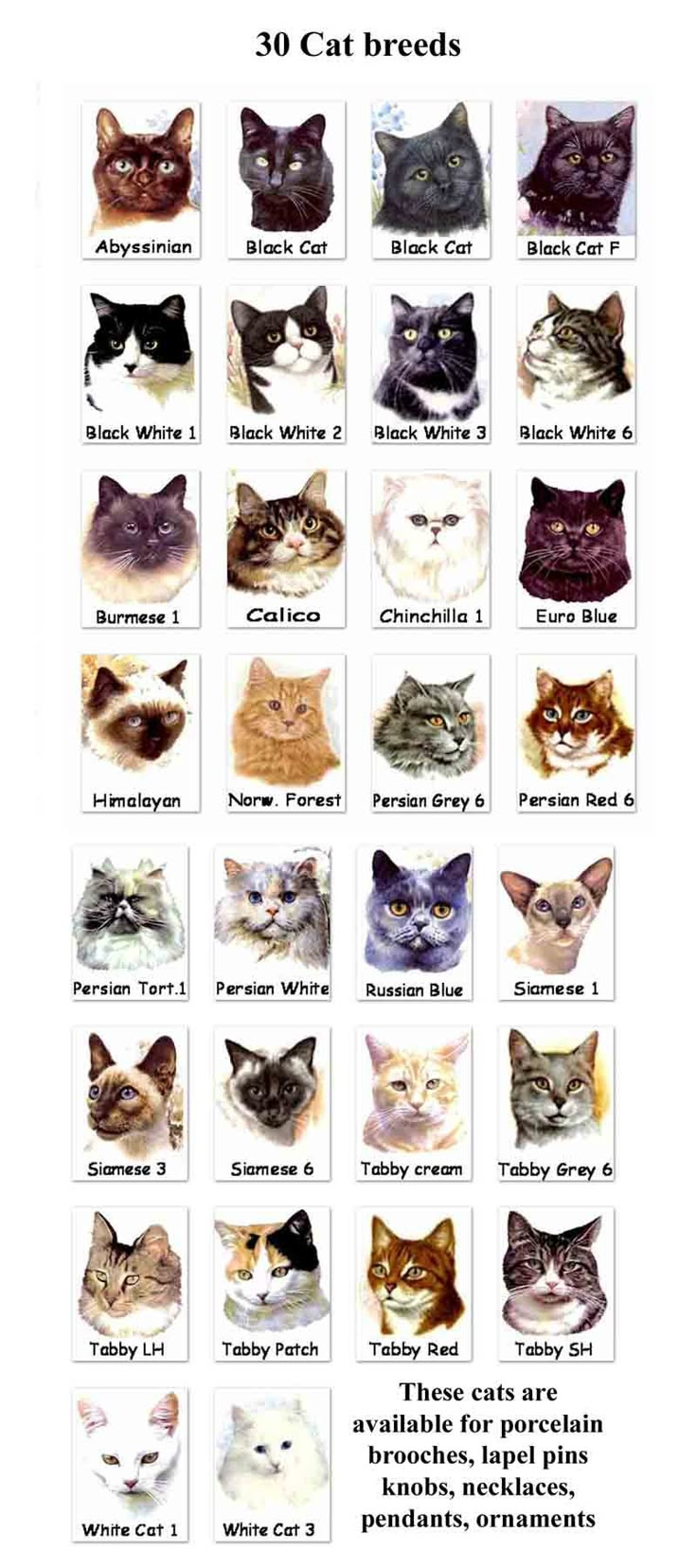 the cat breeds are shown in this poster