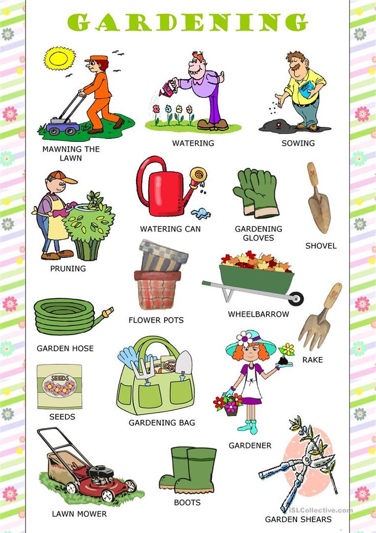 a poster with pictures of garden related items