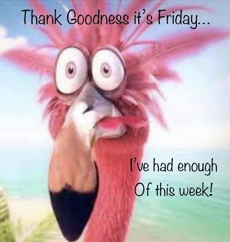 a pink bird with big eyes and an angry look on its face, says thank goodness it's friday i ve had enough of this week