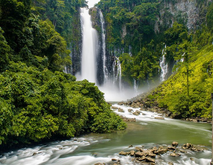 a large waterfall in the middle of a forest filled with green trees and water flowing down it's sides