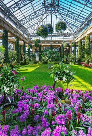 the inside of a building with lots of plants and flowers in it's center