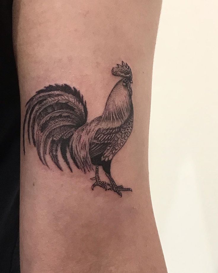 a black and white rooster tattoo on the arm