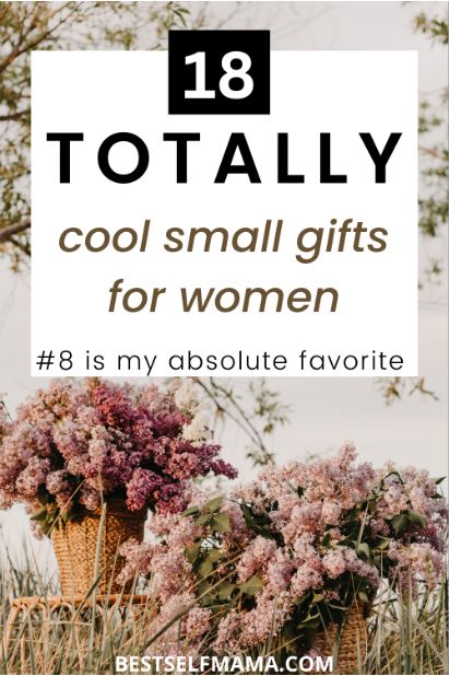 18 Super Cool Small Gifts For Women - Best Self Mama Inexpensive Birthday Gifts, Gifts For Older Women, Small Gifts For Women, 65th Birthday Gifts, Cheap Birthday Gifts, Boss Birthday Gift, Gifts For Young Women, Easy Birthday Gifts, Small Gifts For Friends