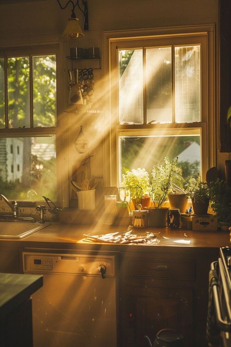 the sun shines through the kitchen window