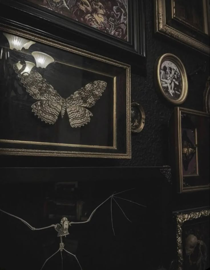 a dark room with framed pictures on the wall and a bat hanging from the ceiling