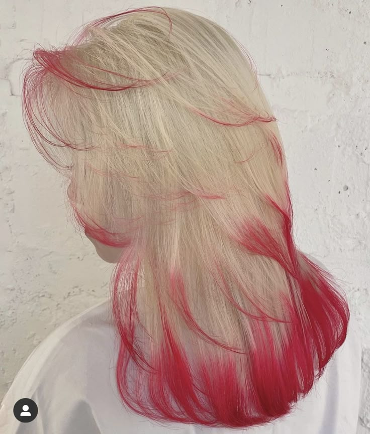 Dyed Tips, Dyed Hair Inspiration, Pretty Hair Color, Hair Stylies, Dye My Hair, Hair Dye Colors, Hair Inspiration Color, Cut My Hair, Hair Inspo Color