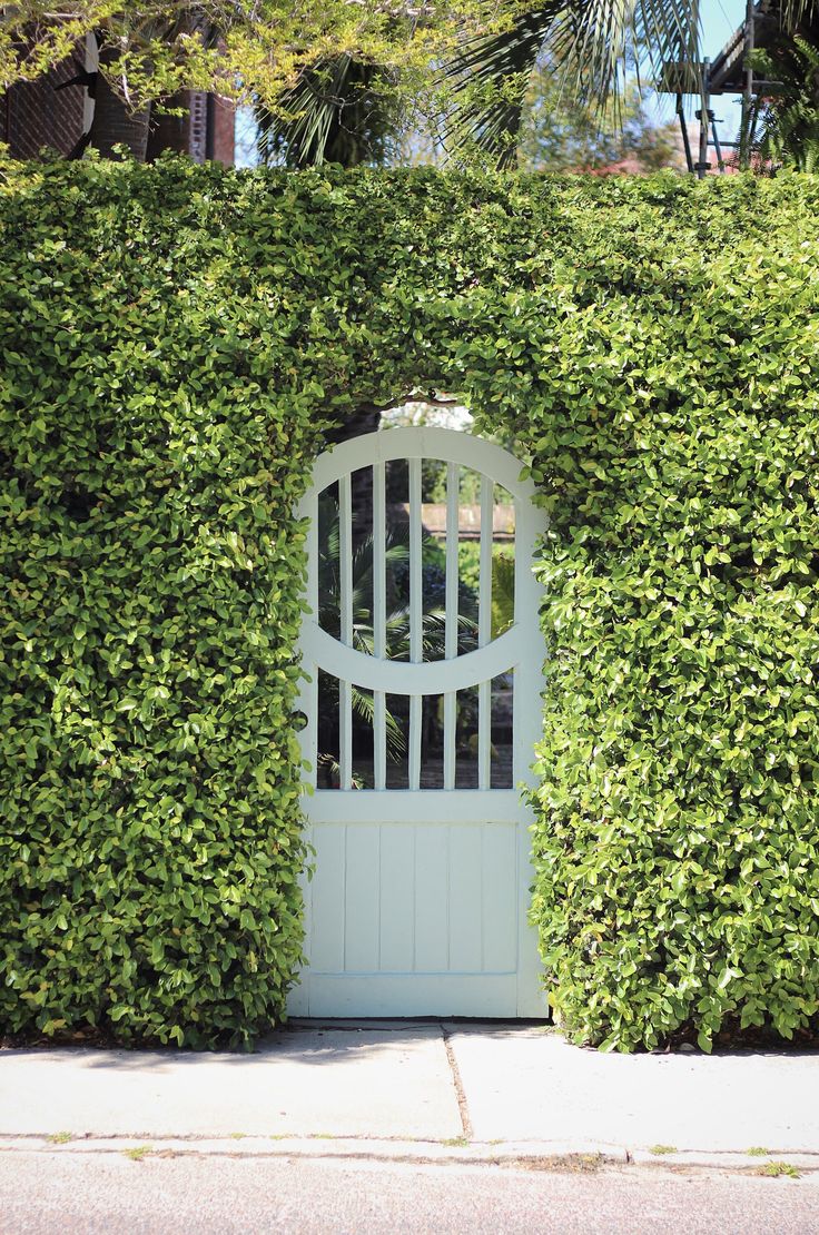 a white gate surrounded by green bushes and trees