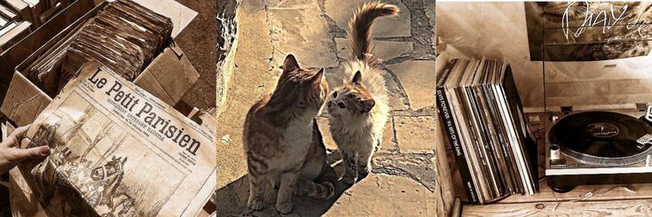 there are two cats standing next to each other on the floor and in front of records