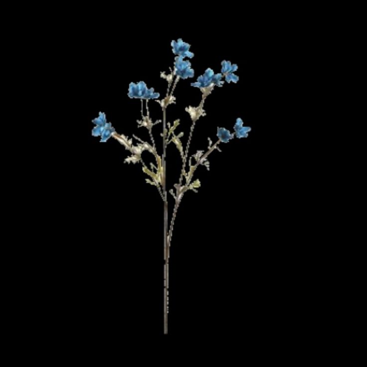 blue flowers on a black background with no leaves in the foreground, and only one flower left