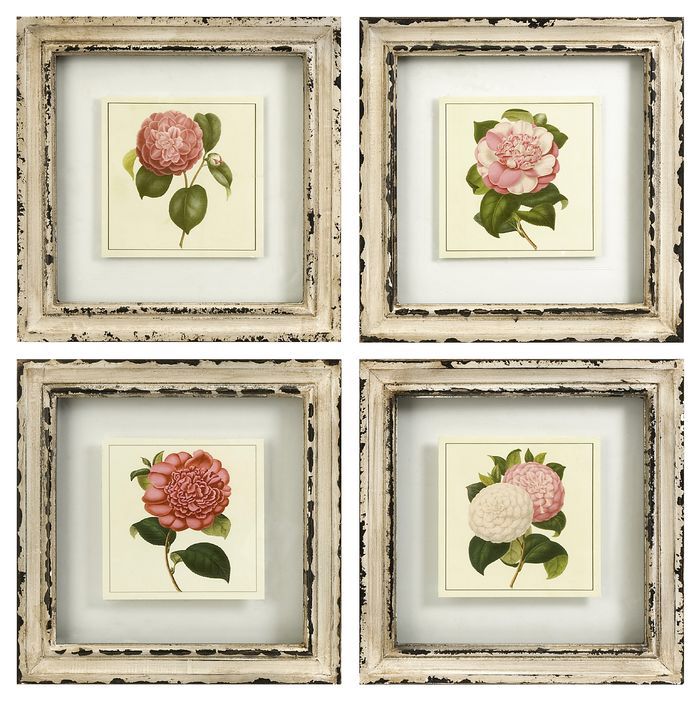 four framed pictures with pink roses in them on a white background, set of 4