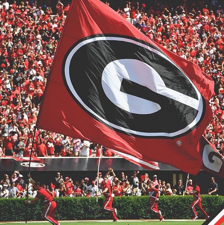 a group of people that are standing in the grass with a flag and some fans