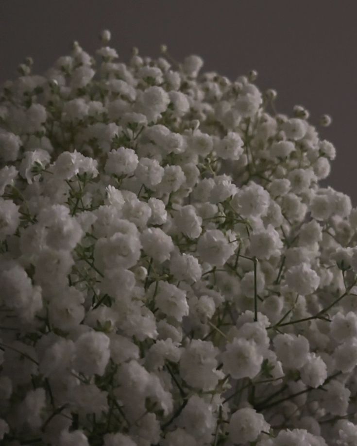 a bunch of white flowers sitting on top of a table