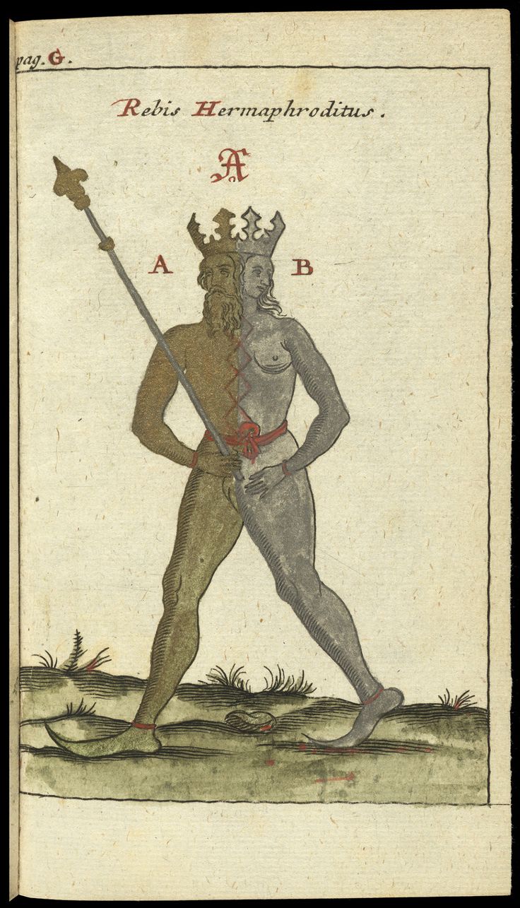 Rebis Hermaphroditus, 1706, Johann Michael Faust. Engraving, hand-colored. The Getty Research Institute. Medieval Illustrations, Queer History, Kalki Avatar, Alchemy Art, Occult Symbols, Esoteric Art, Occult Art, Ancient Knowledge, Research Institute