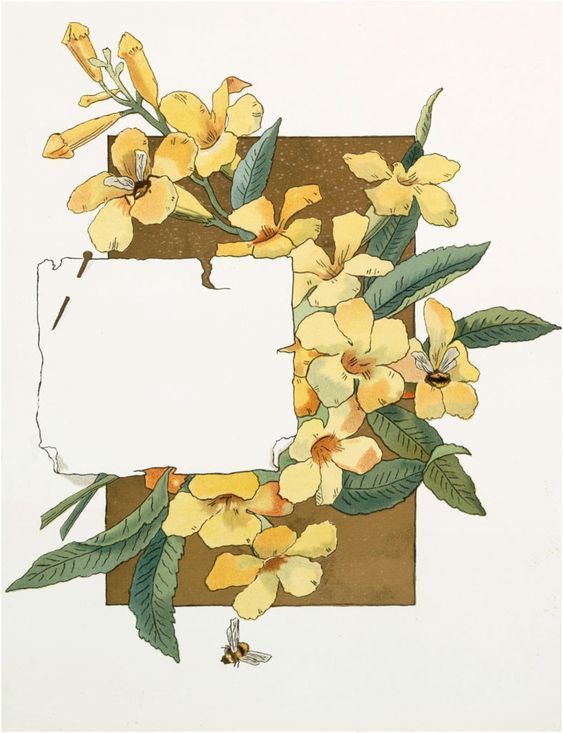 an illustration of yellow flowers and leaves with a white paper in the middle on a brown background