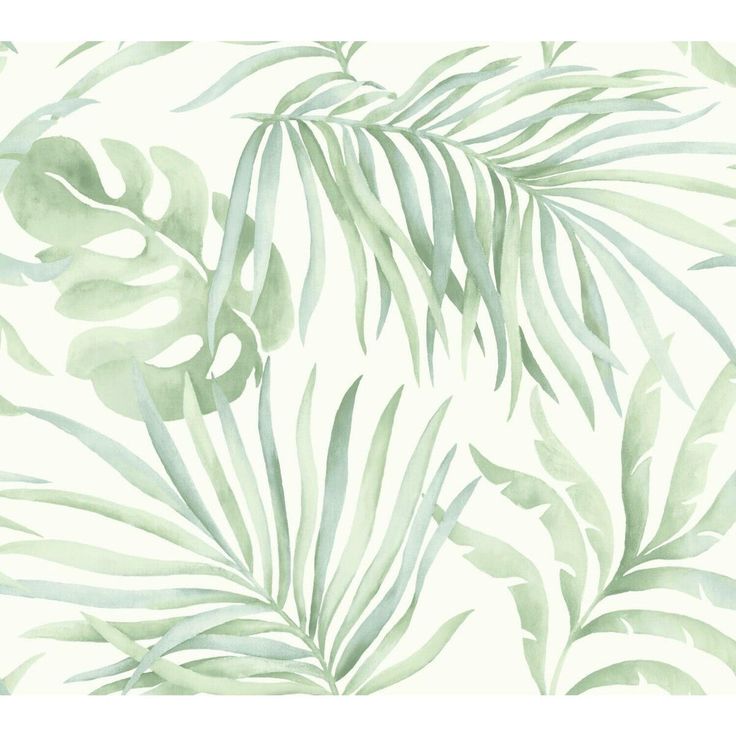 Samples and Purchasing available for Kravet Design - W3593-23 White By Kravet Design | Candice Olson Collection | Tropical Wallcovering Print at Designer Wallcoverings and Fabrics Green Palm Wallpaper, Candice Olson Wallpaper, Baseboard Styles, Aloe Green, Candice Olson, Palm Wallpaper, York Wallpaper, Commercial Wallpaper, Tropical Wallpaper