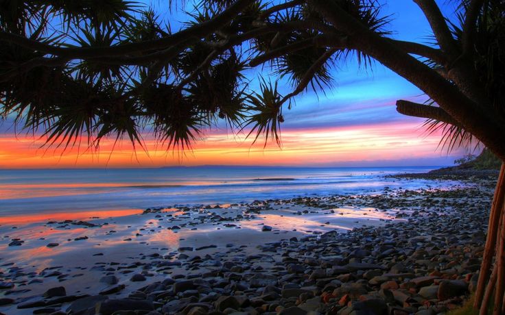 the sun is setting at the beach with rocks and palm trees in front of it