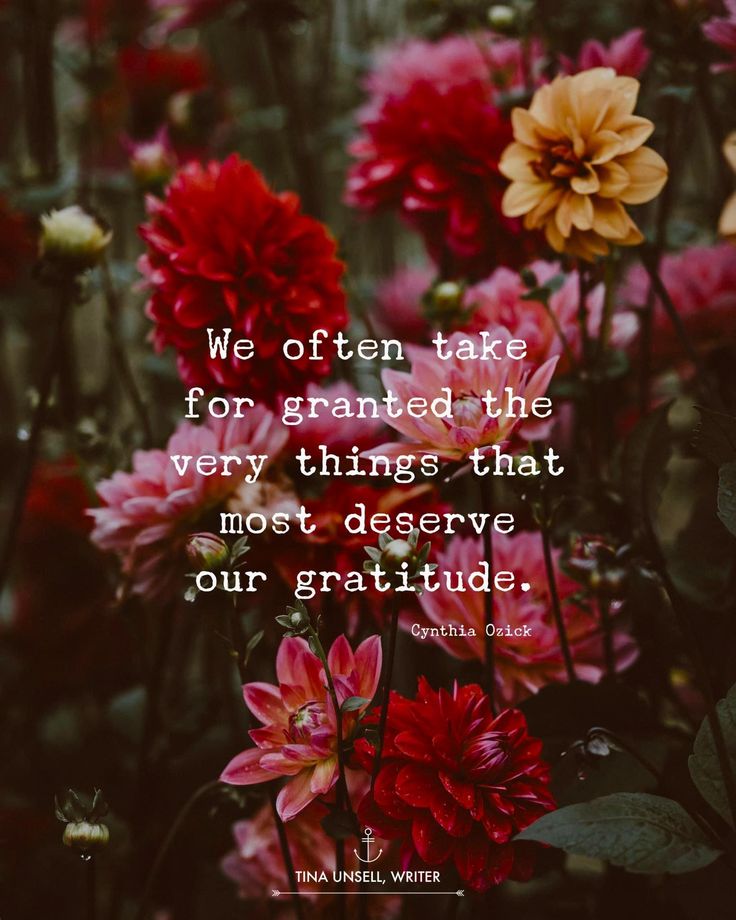 red and yellow flowers with the quote we often take for granded that very things that most observe our gratitude