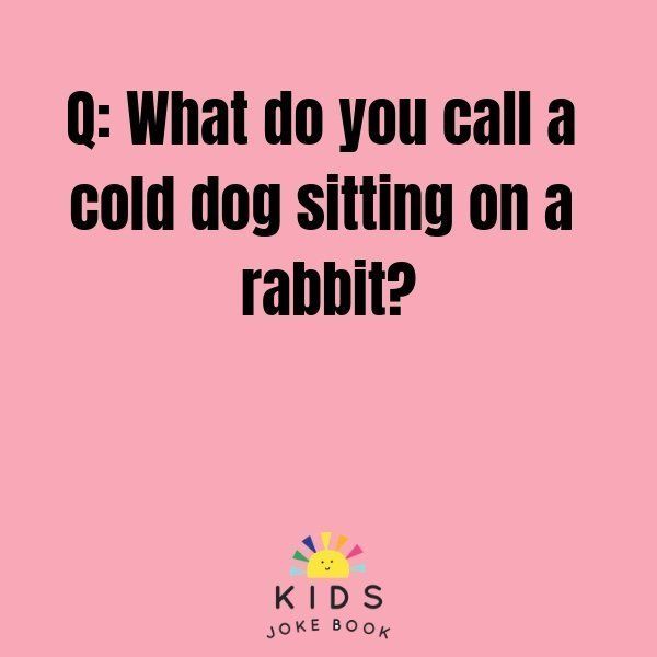 a pink background with the words q what do you call a cold dog sitting on a rabbit?