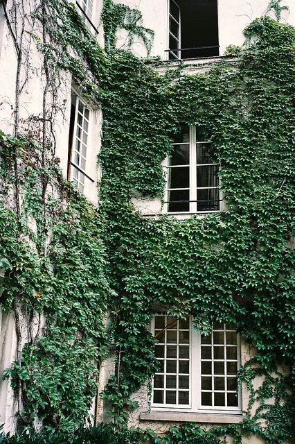 an old building with ivy growing on it's side and windows in the middle