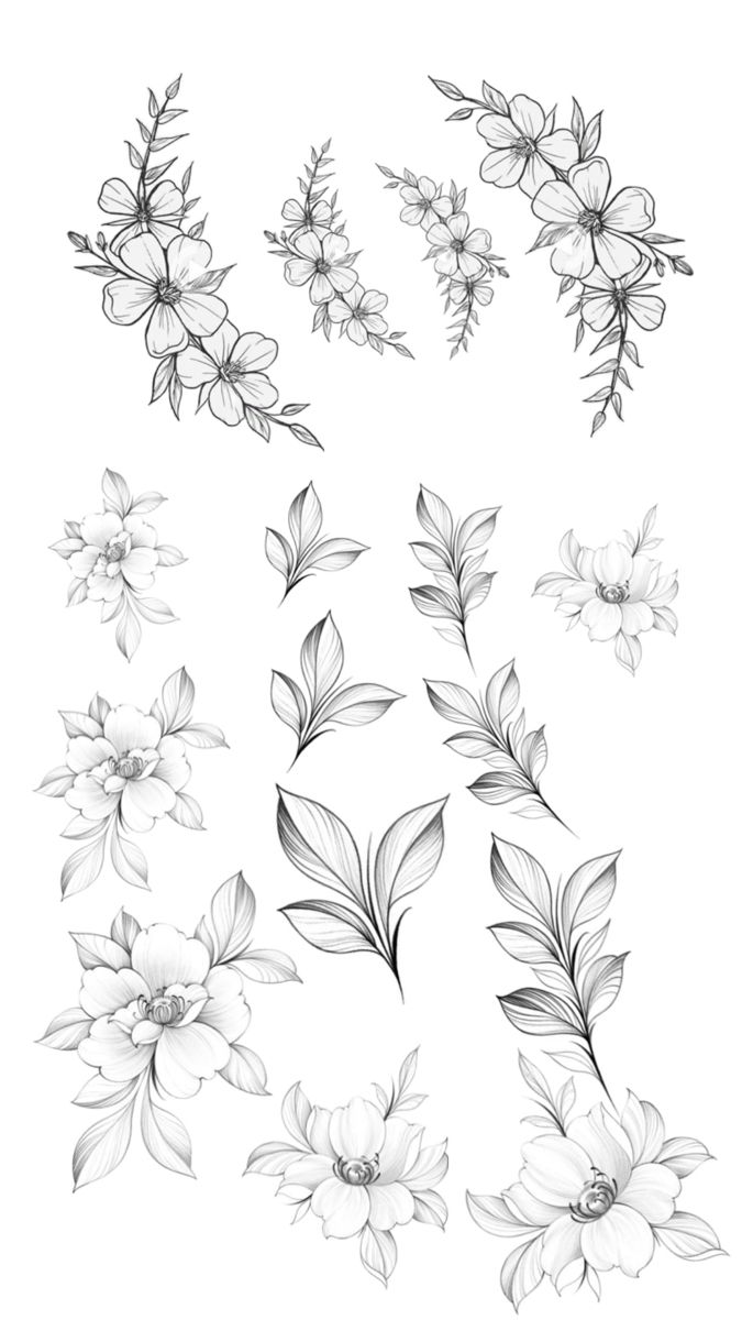 flowers and leaves drawn in pencil on paper