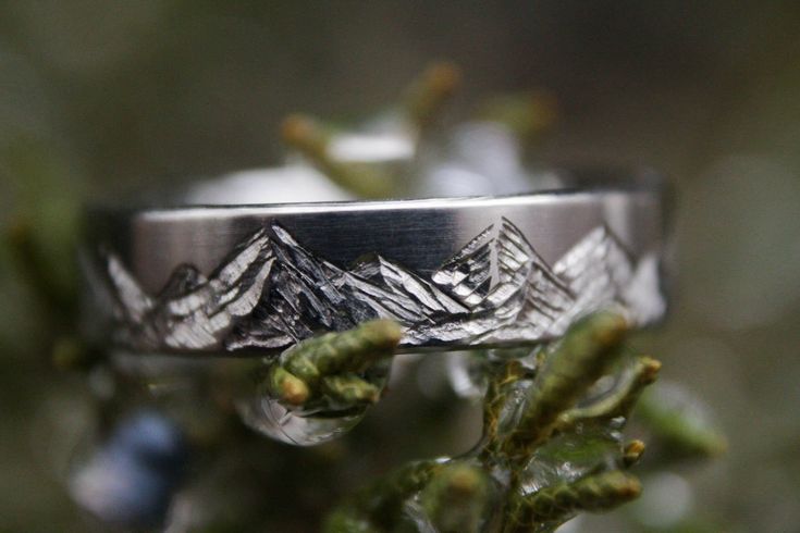 a silver ring with mountains on it sitting on top of a tree branch in the woods