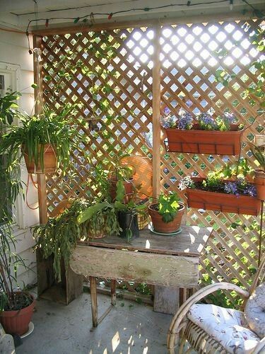 an outdoor patio with potted plants on the table and wicker chairs around it