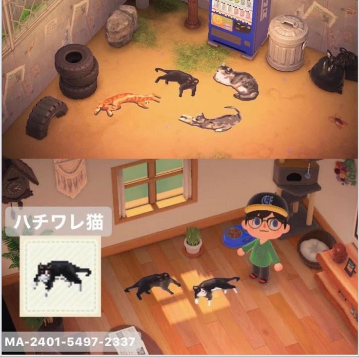 two screens showing the same scene in animal crossing, one with cats and another with kittens