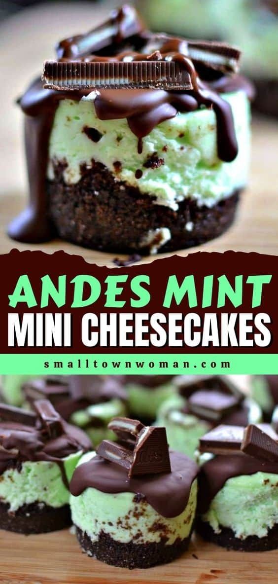 mini cheesecakes with chocolate and mint on top are shown in the foreground