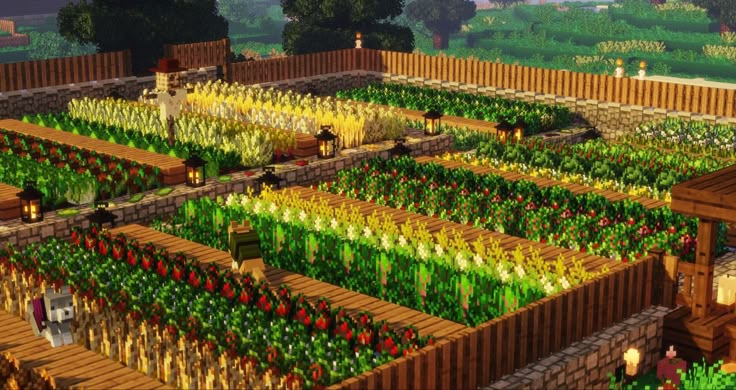 a large vegetable garden with lots of green plants