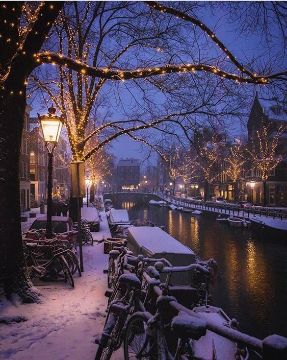 bicycles are parked along the side of a snowy canal