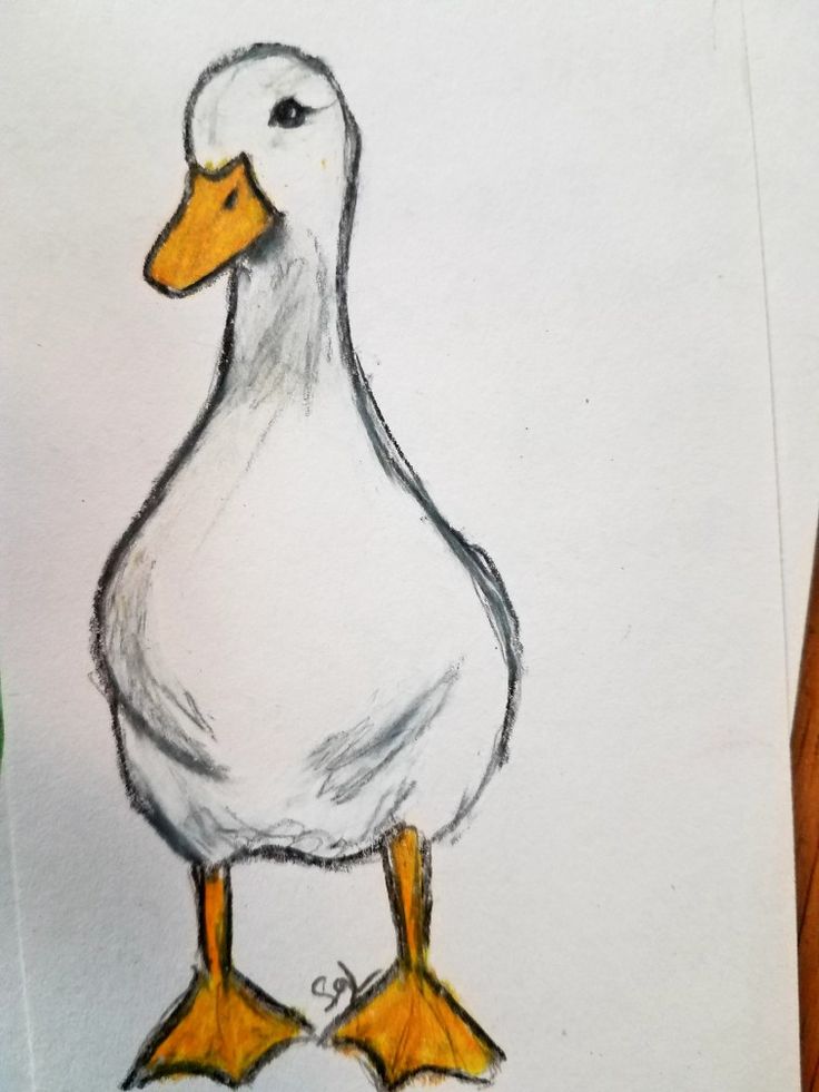 a drawing of a duck with yellow feet