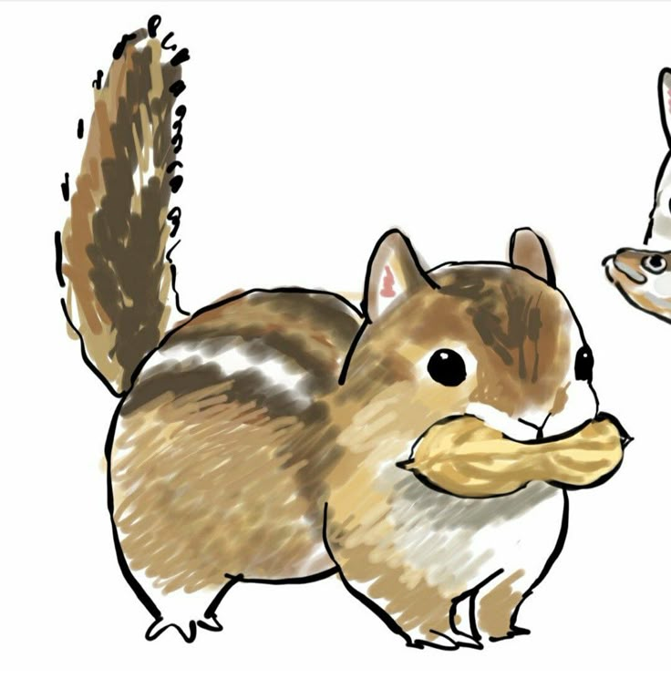 a drawing of a squirrel eating a piece of bread with another squirrel in the background