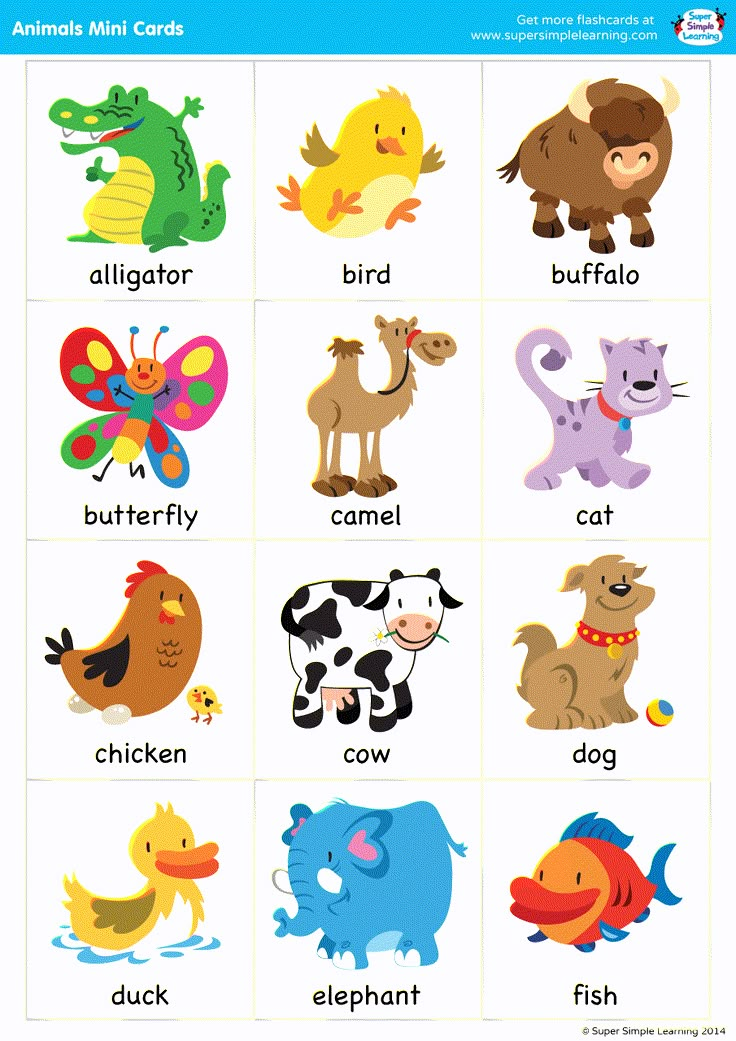 an animal alphabet game with pictures of different animals