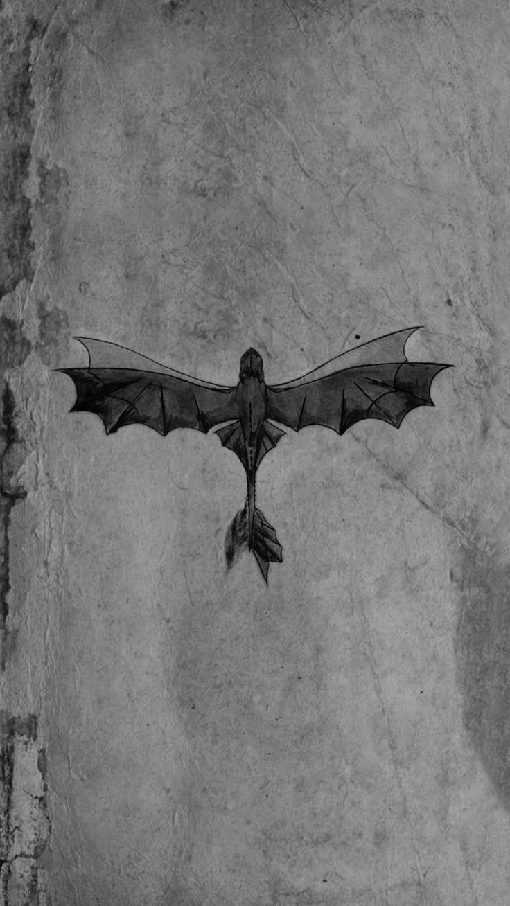 a black and white photo of a bat flying in the air with its wings spread out